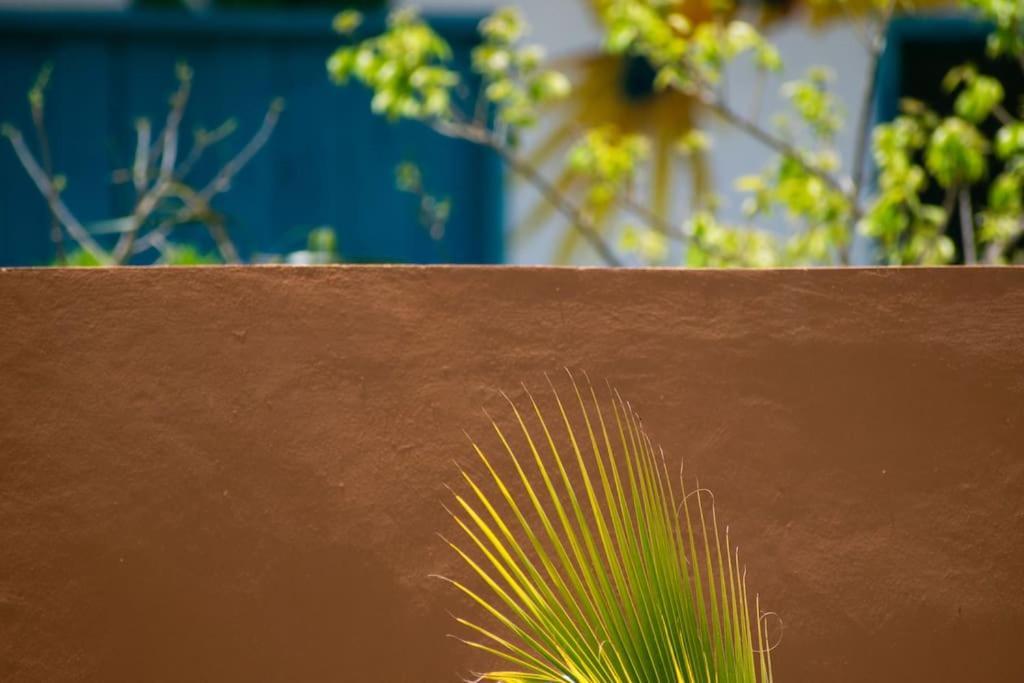 Disfruta En La Casa De Lola / Enjoy At Lolas House Progreso  Exteriör bild