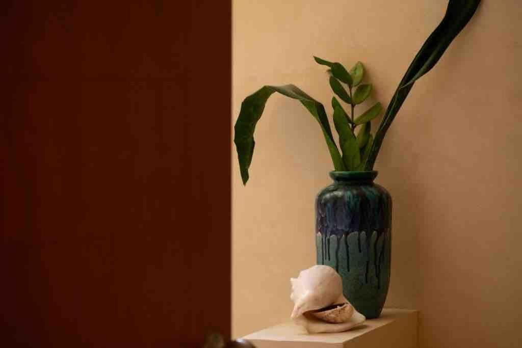 Disfruta En La Casa De Lola / Enjoy At Lolas House Progreso  Exteriör bild